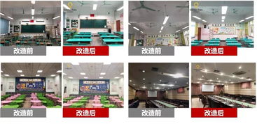 市面上護眼臺燈不滿意,這位清華父親自制臺燈竟遭 哄搶