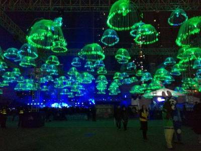 首屆自貢國際燈光節開幕 將持續到至3月2日