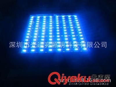 供應LED plant growth light 外貿熱銷產品 CREE大功率圖片|供應LED plant growth light 外貿熱銷產品 CREE大功率產品圖片由深圳市光通亮照明科技公司生產提供-