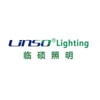 公司介紹|上海臨碩照明科技