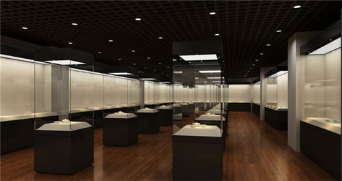 展柜 睿城 專業(yè)定制 廣東私人藏品展柜設(shè)計(jì)制作廠
