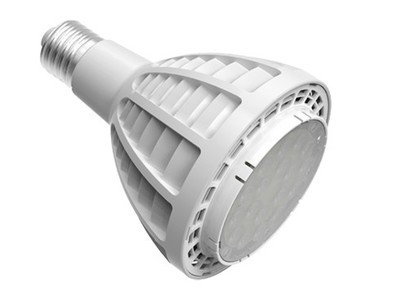 【熱銷30W大功率LED射燈 led裝飾燈 led綠化燈 led工業照明燈具】價格,廠家,圖片,LED射燈,深圳市華燈明月照明科技-