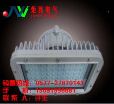 防爆led工廠燈 30w 40w 50w 60w 防爆led工廠燈